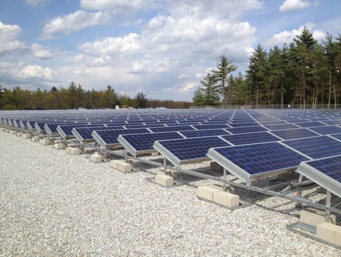 rows of solar panels