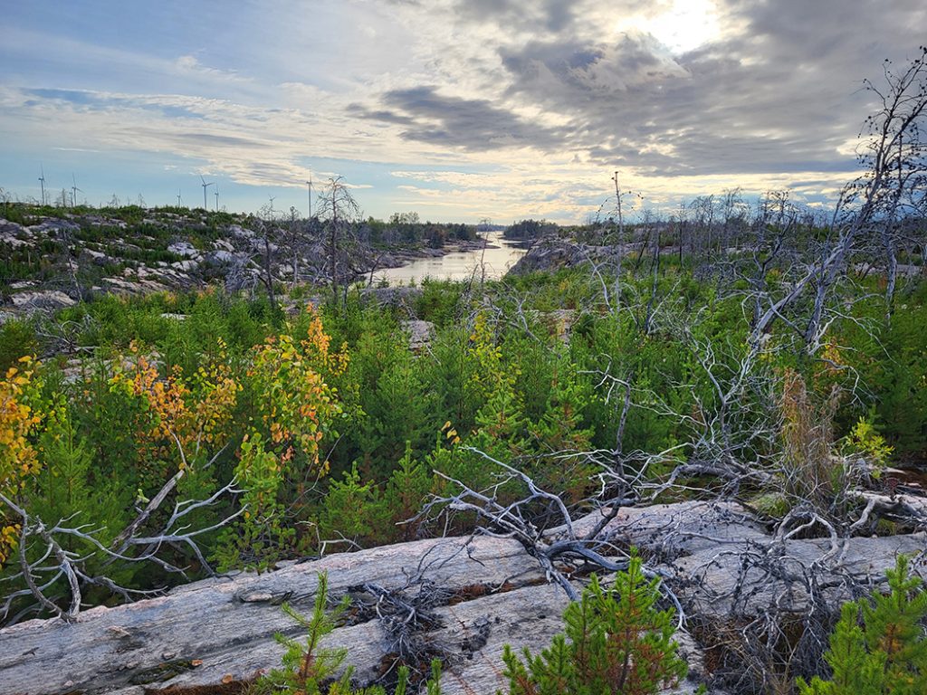 Landscape photo overlooking the Key River and Henvey Inlet Reserve #2