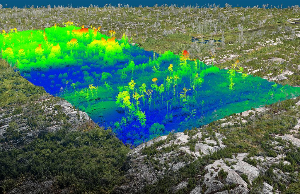 Study area with LiDAR point cloud overlaid