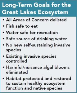 Bullet point list of long-term goals for the Great Lakes ecosystem